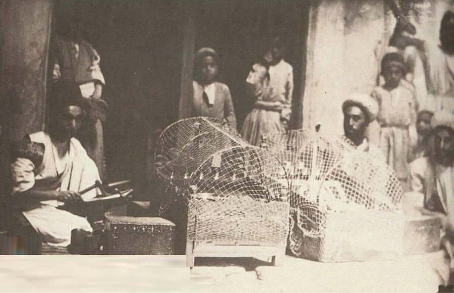 روستای زرگر قزوین