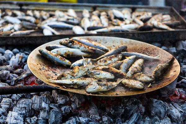 سفری در غذاهای دریایی ایران