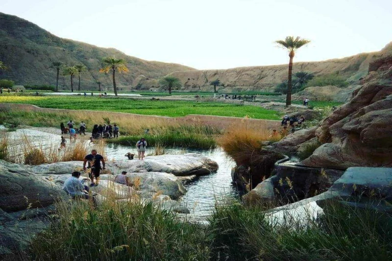 طبس؛سبز یا کویری؟