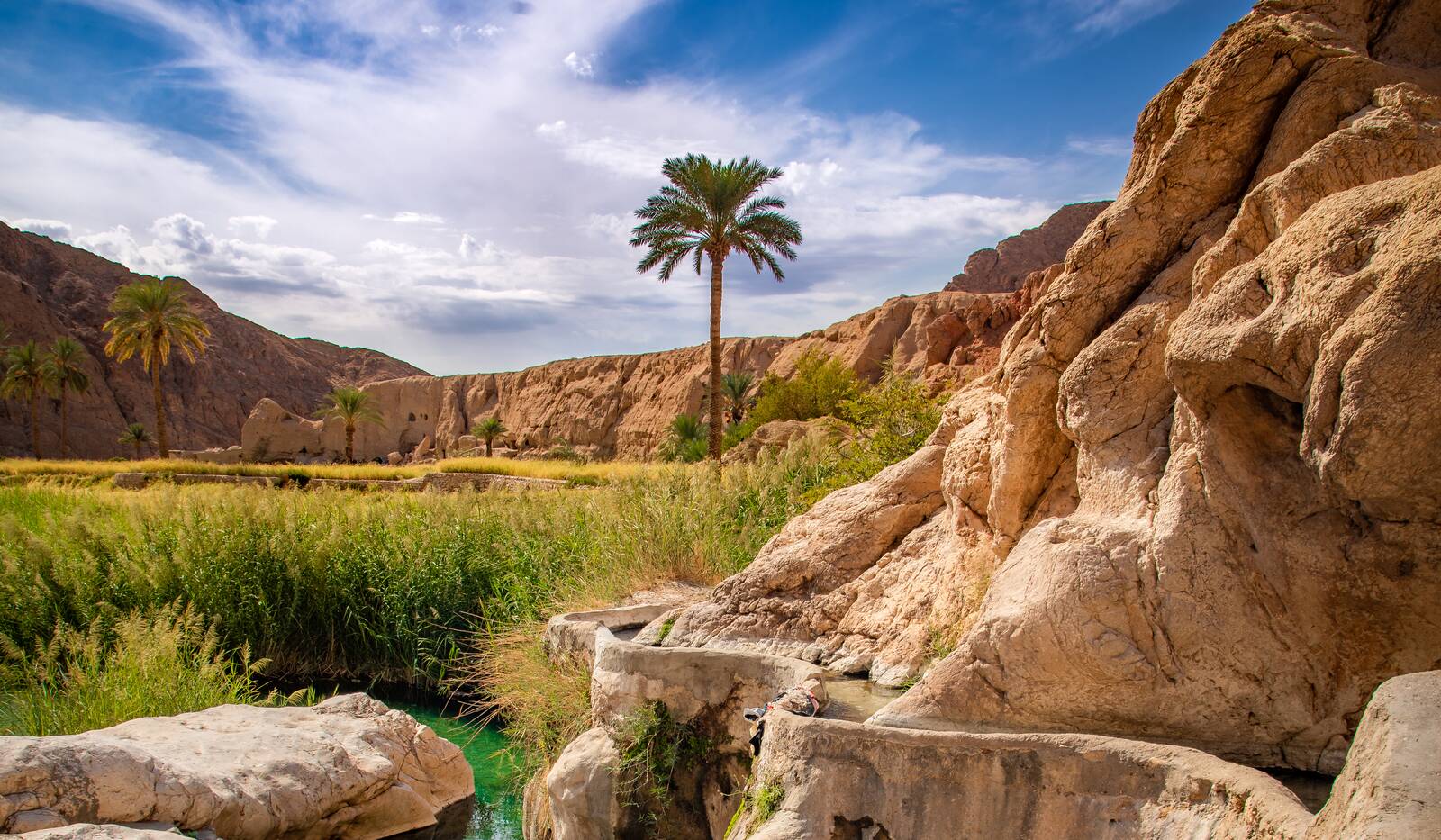 طبس؛سبز یا کویری؟