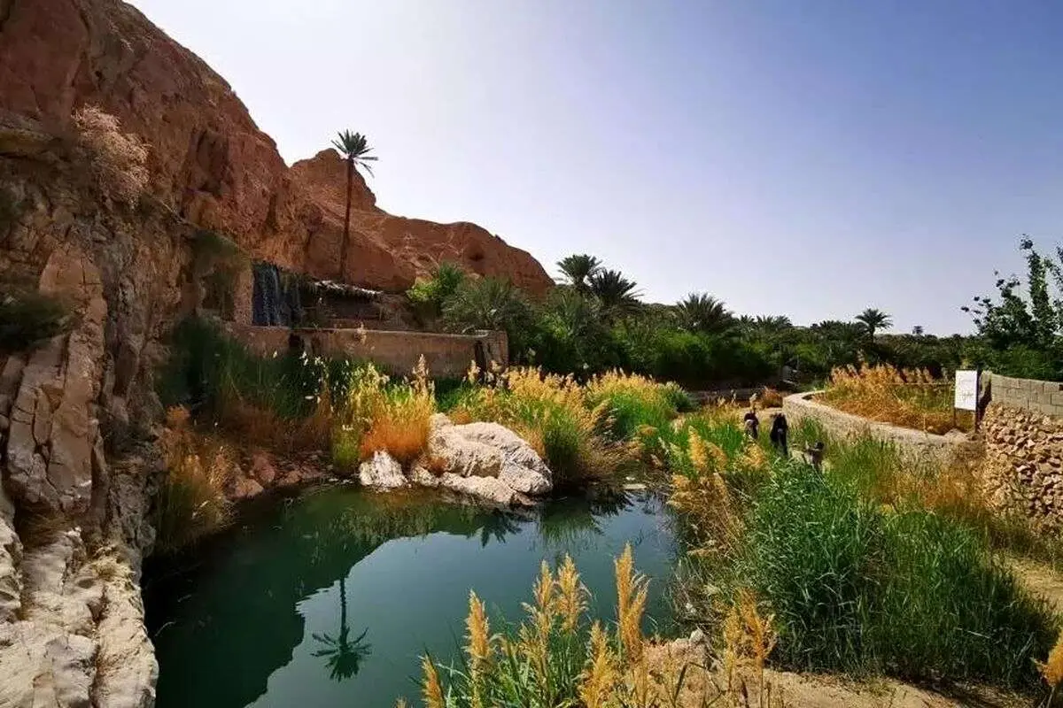 طبس؛سبز یا کویری؟