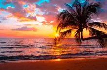 بوشهر: سمفونی دریا، نخل و نی‌انبان