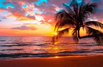 بوشهر: سمفونی دریا، نخل و نی‌انبان