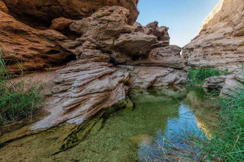 طبس؛سبز یا کویری؟