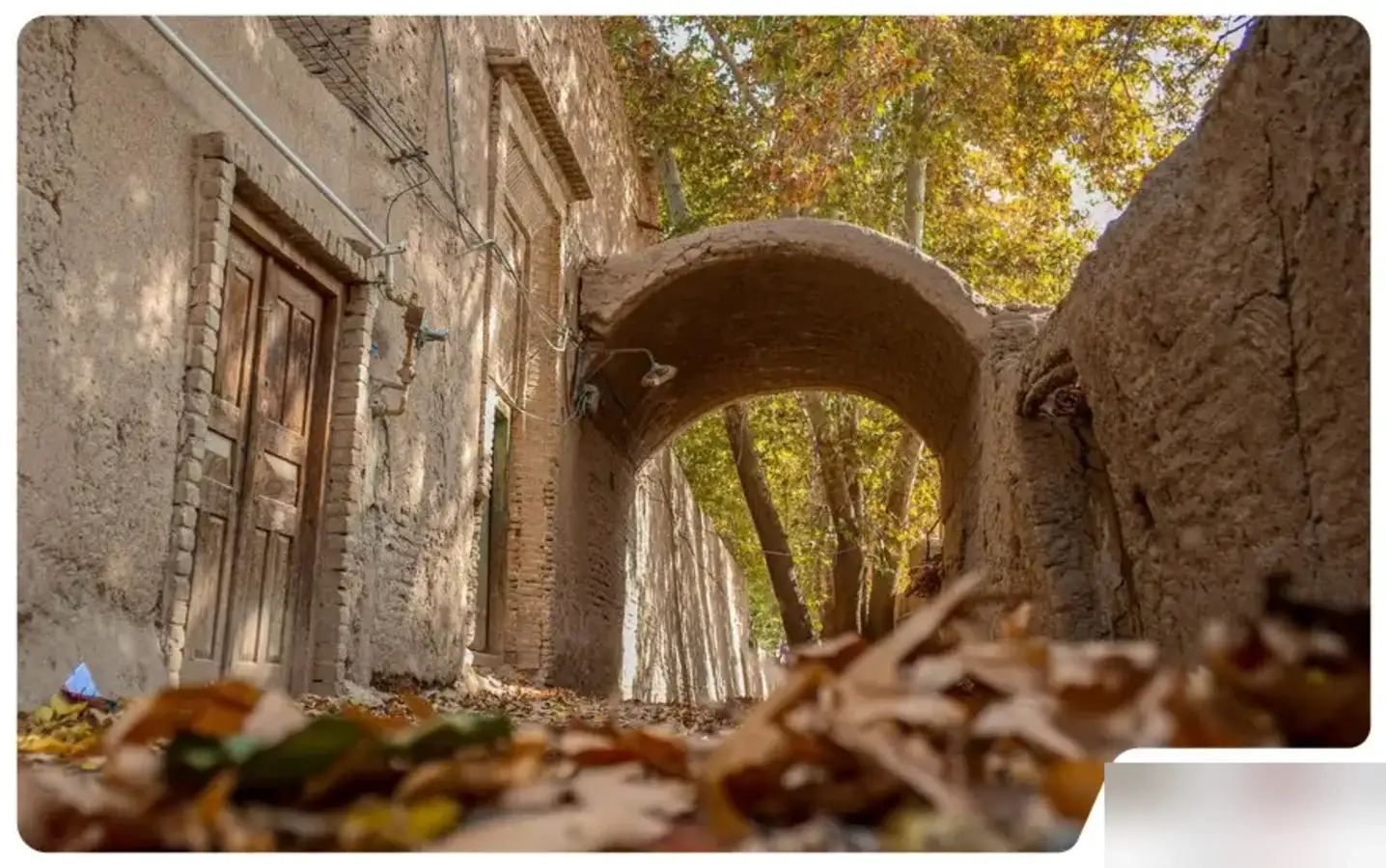 سفر به یزد؛ راهنمای کامل جاذبهها، بهترین زمان و نکات سفر