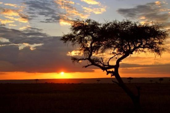 زیباترین غروبهای جهان