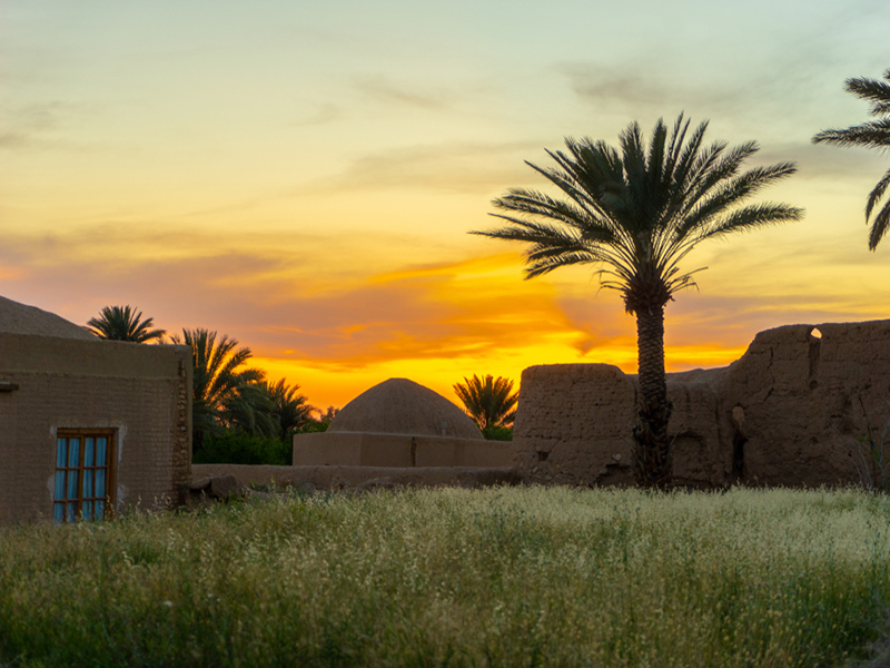 طبس؛سبز یا کویری؟