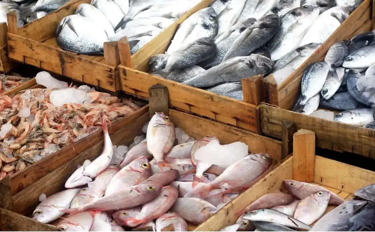 مراکز خرید بندرعباس