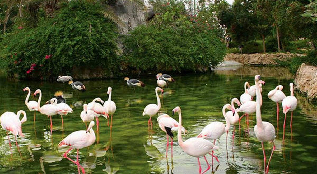 باغ پرندگان اصفهان